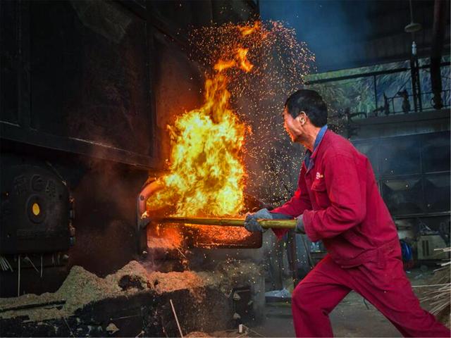 锅炉证培训